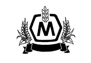 M logo