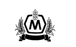 M logo