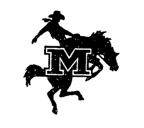 M logo