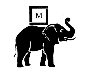 M logo