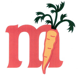 M logo
