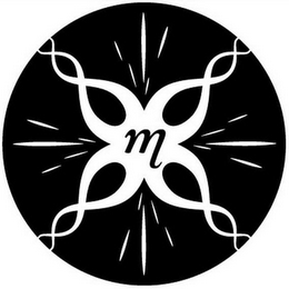 M logo