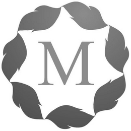 M logo