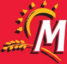 M logo