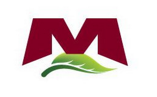 M logo