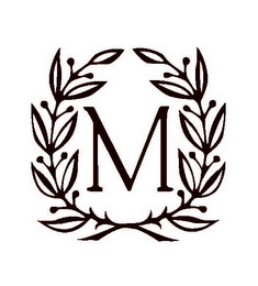 M logo