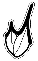 M logo