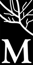 M logo