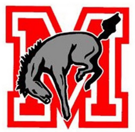 M logo