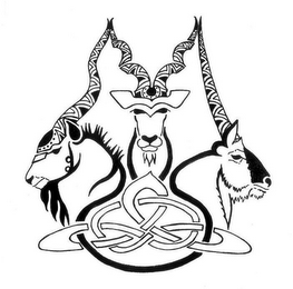 M logo