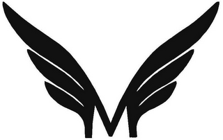 M logo
