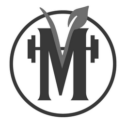 M logo