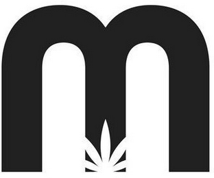 M logo