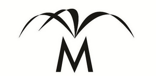 M logo