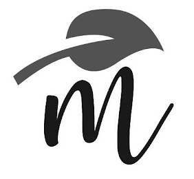 M logo
