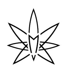 M logo
