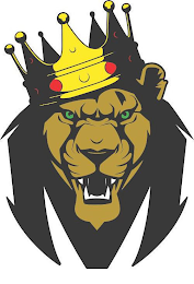 M logo