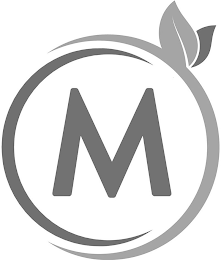 M logo