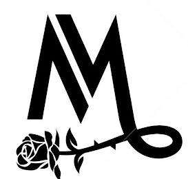 M logo