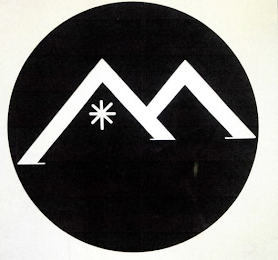 M logo
