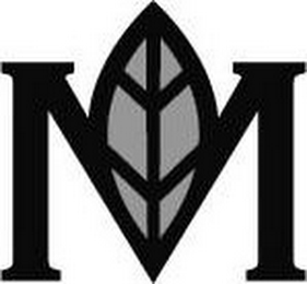 M logo