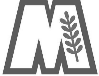 M logo