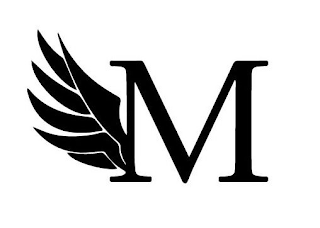 M logo