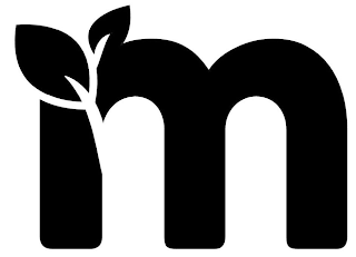 M logo