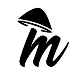 M logo