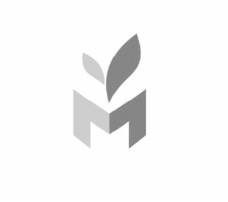 M logo