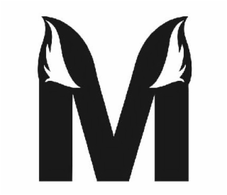 M logo