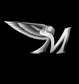 M logo