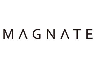 M A G N A T E logo