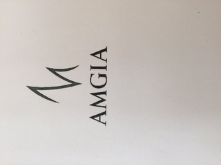 M AMGIA logo