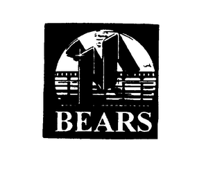 M BEARS logo