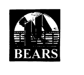 M BEARS logo