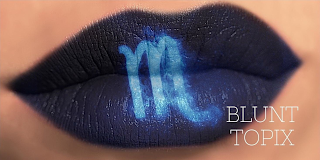 M BLUNT TOPIX logo