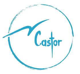 M CASTOR logo
