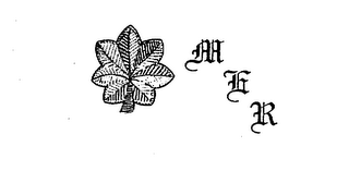 M E R logo