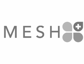 M E S H + logo