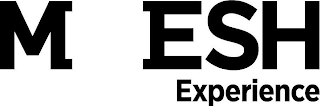 M ESH EXPERIENCE logo