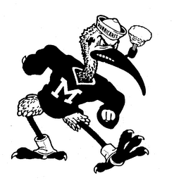 M HURRICANES
