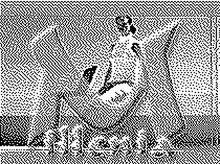 M ILLENIA logo