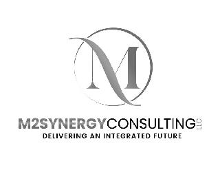 M M2SYNERGYCONSULTING LLC DELIVERING AN INTEGRATED FUTURE logo
