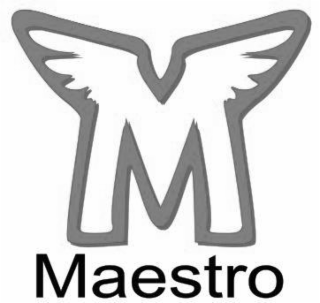 M MAESTRO logo
