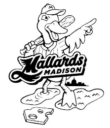 M MALLARDS MADISON logo