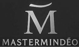 M MASTERMINDEO logo