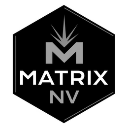 M MATRIX NV logo
