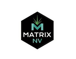 M MATRIX NV logo