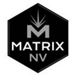 M MATRIX NV logo